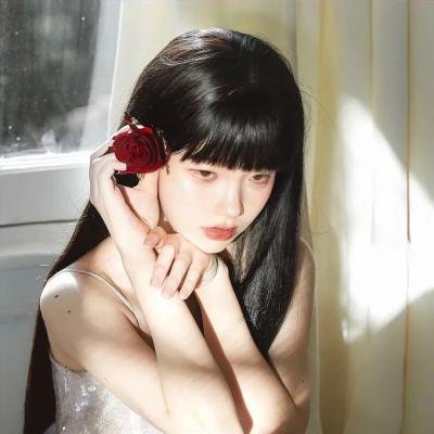 柏林一区